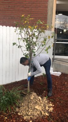 Sulzbacher Center Raj Planting